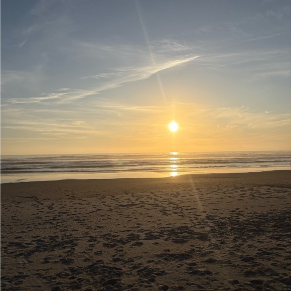 Meet your Posher, Elvin - Picture 1 of 1